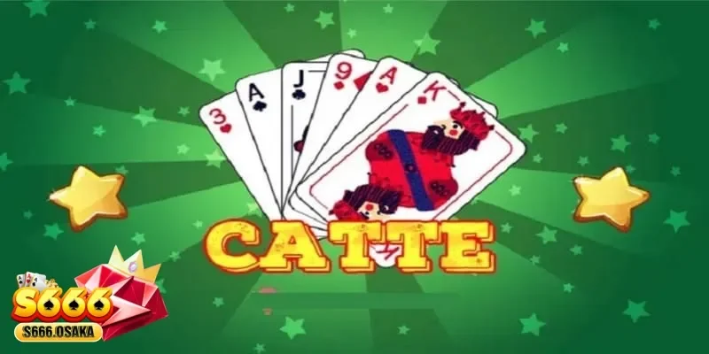 Tìm Hiểu Cách Chơi Bài Catte Truyền Thống Được Yêu Thích Nhất bài Catte