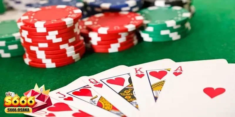 Poker Đỉnh Cao Cách Chơi Chuẩn Xác Dành Cho Người Mới Poker